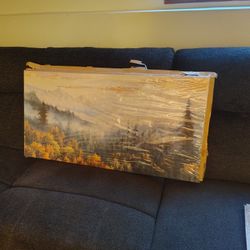 Canvas And Metal Art