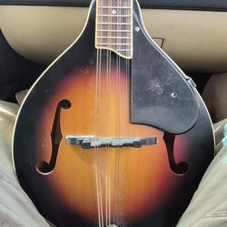 Mandolin 