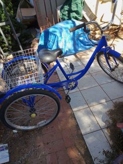 Women's 24 in 3 wheeler bike