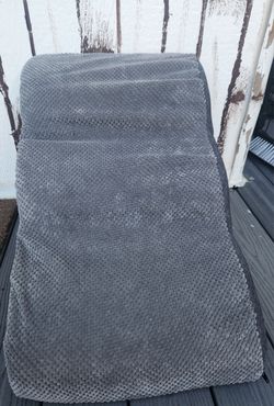 Pet ramp