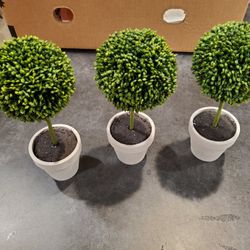 Set Of 3 Topiary Trees. About 8 Or 9 Inch Tall. 25$