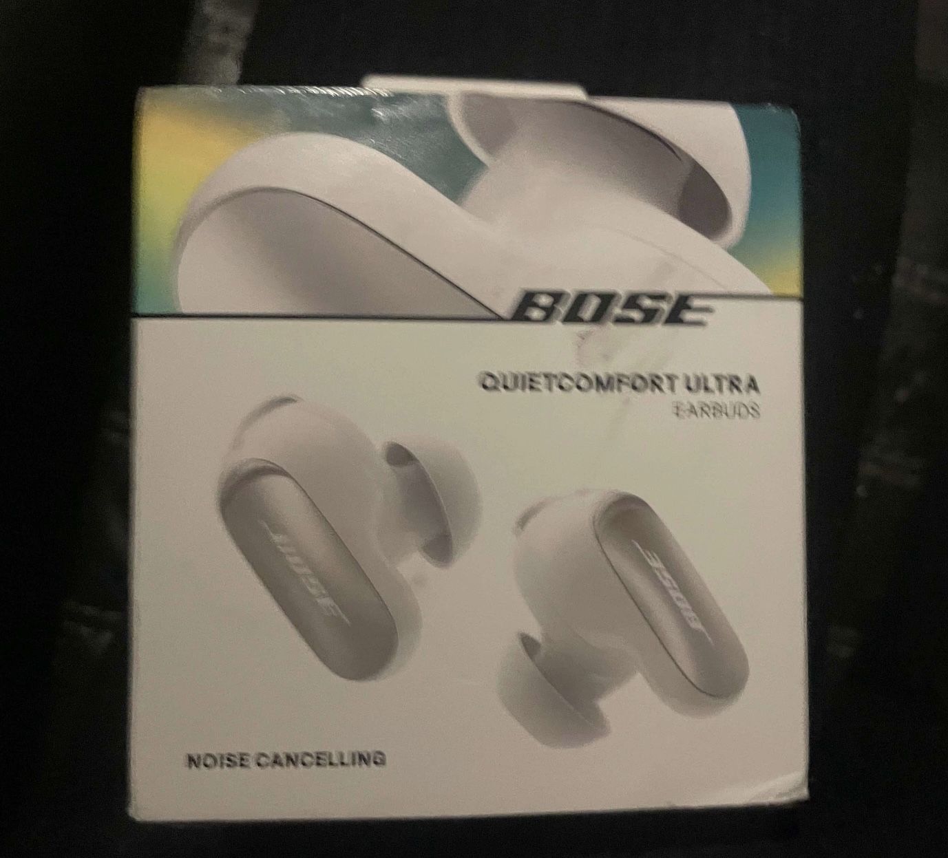 Bose Ultra Earbuds
