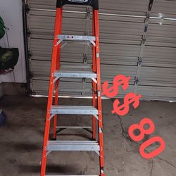 Werner Ladder 6 Ft..