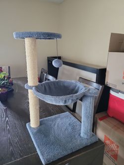 Cat climber