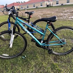 Se Venden Bikes Rin 26 Dama Y Rin 29 Caballero 