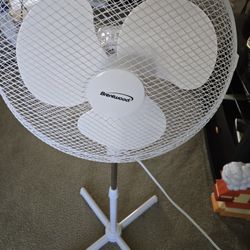 Brentwood Oscillating 3 Speed Fan $10.00
