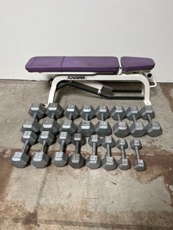 Dumbbell Weights with Heavy Duty Bench Press 450lb total