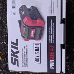 Skil 40v 6.0ah Battery