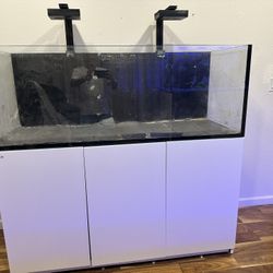 Redsea Reefer XL525 Fish Tank