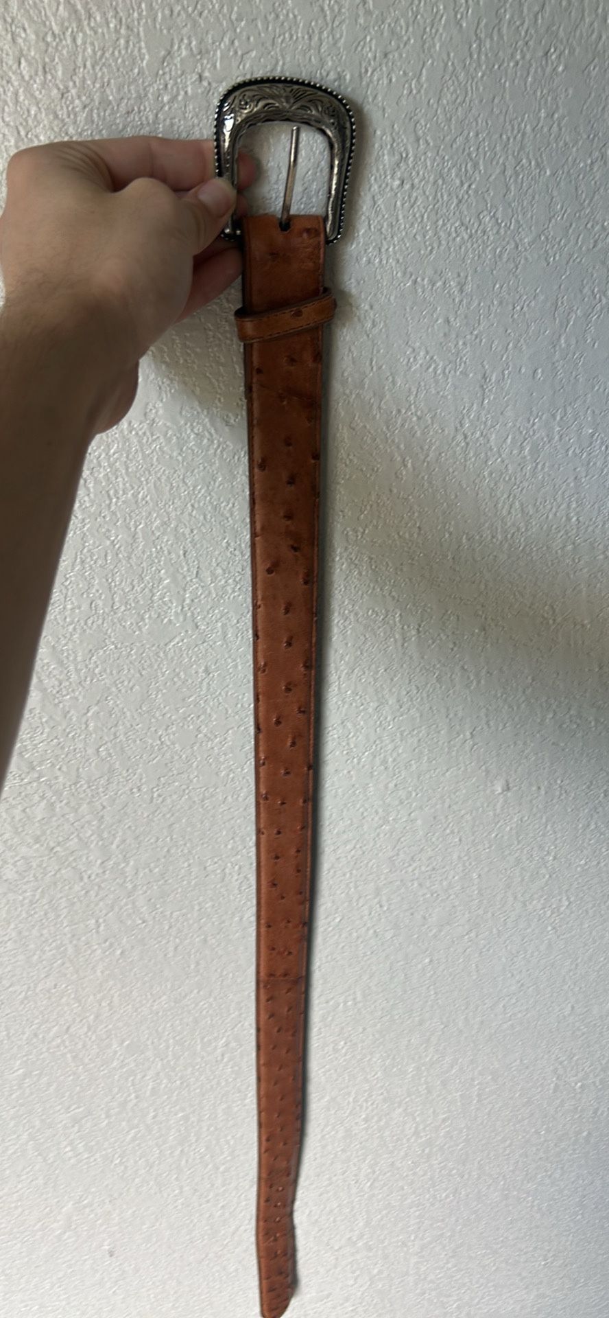 Sizzle 32 Snake Skin Boot Barn Belt Brand New