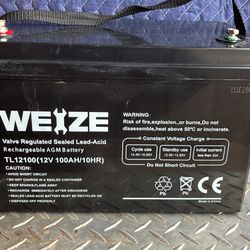Weize TL12100 Battery 