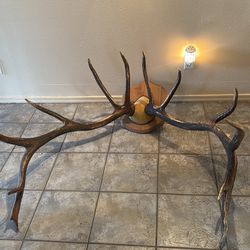Elk horns