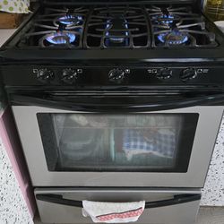 Estufa con orno TV 58