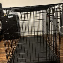 KONG Dog Cage 🐕 