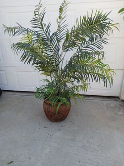 Artificial Plant