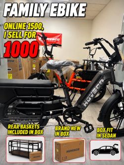 Cargo e-bike family electric bike
