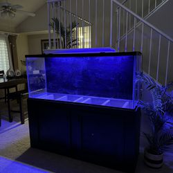100 Gallon Aquarium Fish Tank