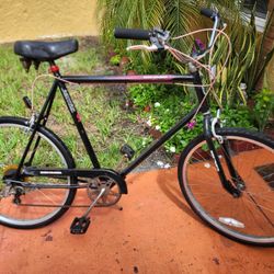 Boss Cruiser By Jamis