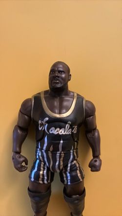 WWE Wrestling Action Figure "Chocolate" Wrestler