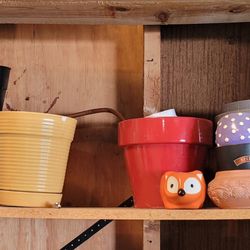 Various Pots For Plants