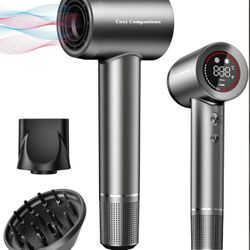 Hair Dryer - Negative Ionic Blow Dryer with 170000 RPM High Speed Brushless Motor for Fast Drying, L