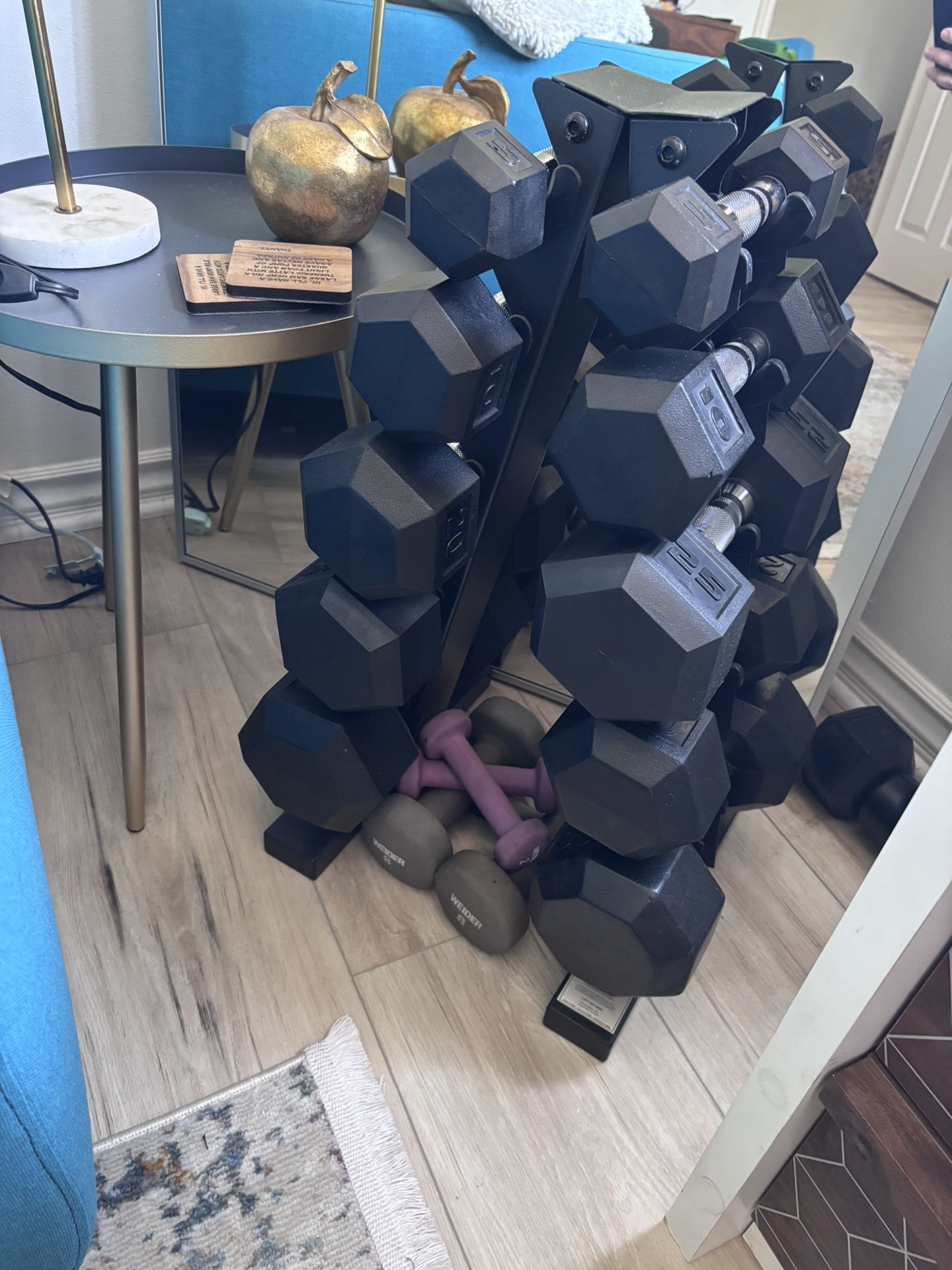 Dumbbell Set
