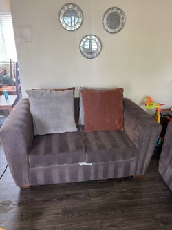 Couch Shampoo