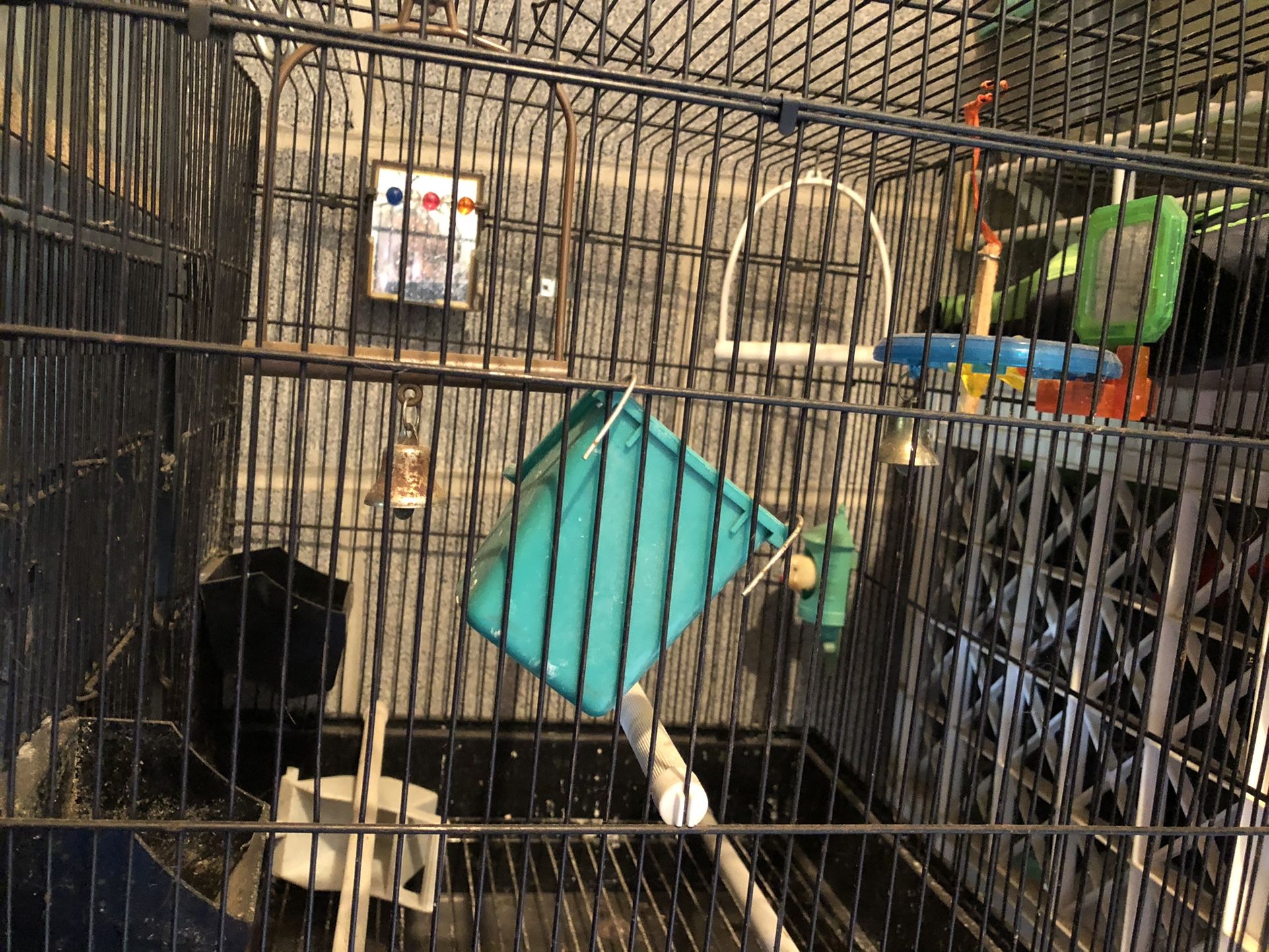 Bird Cage W/ Toys