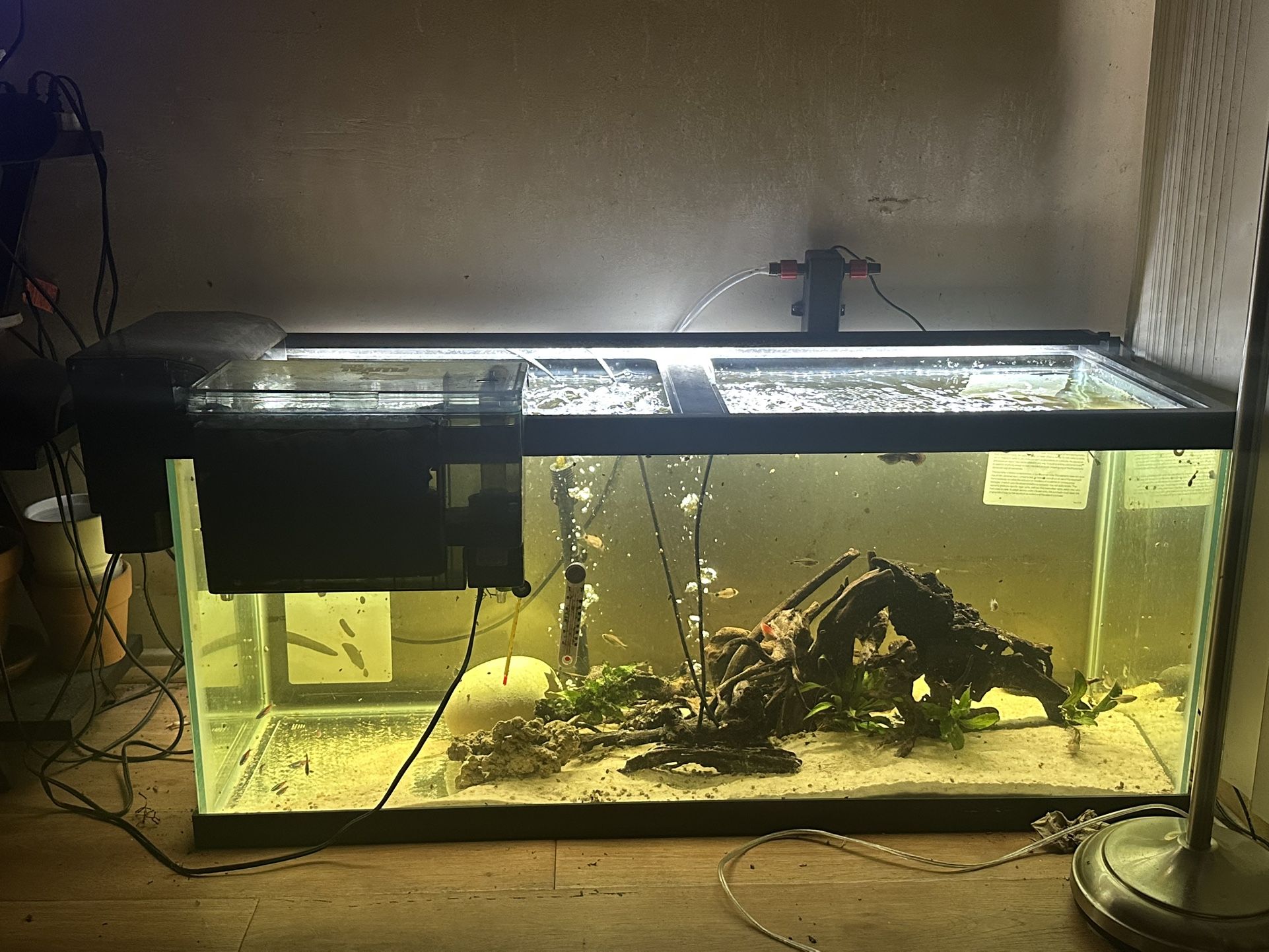 Fluval Filter AC110 And Aquaclear 110