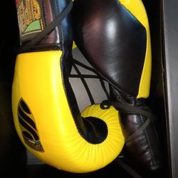Fly Boxing Gloves Brand New