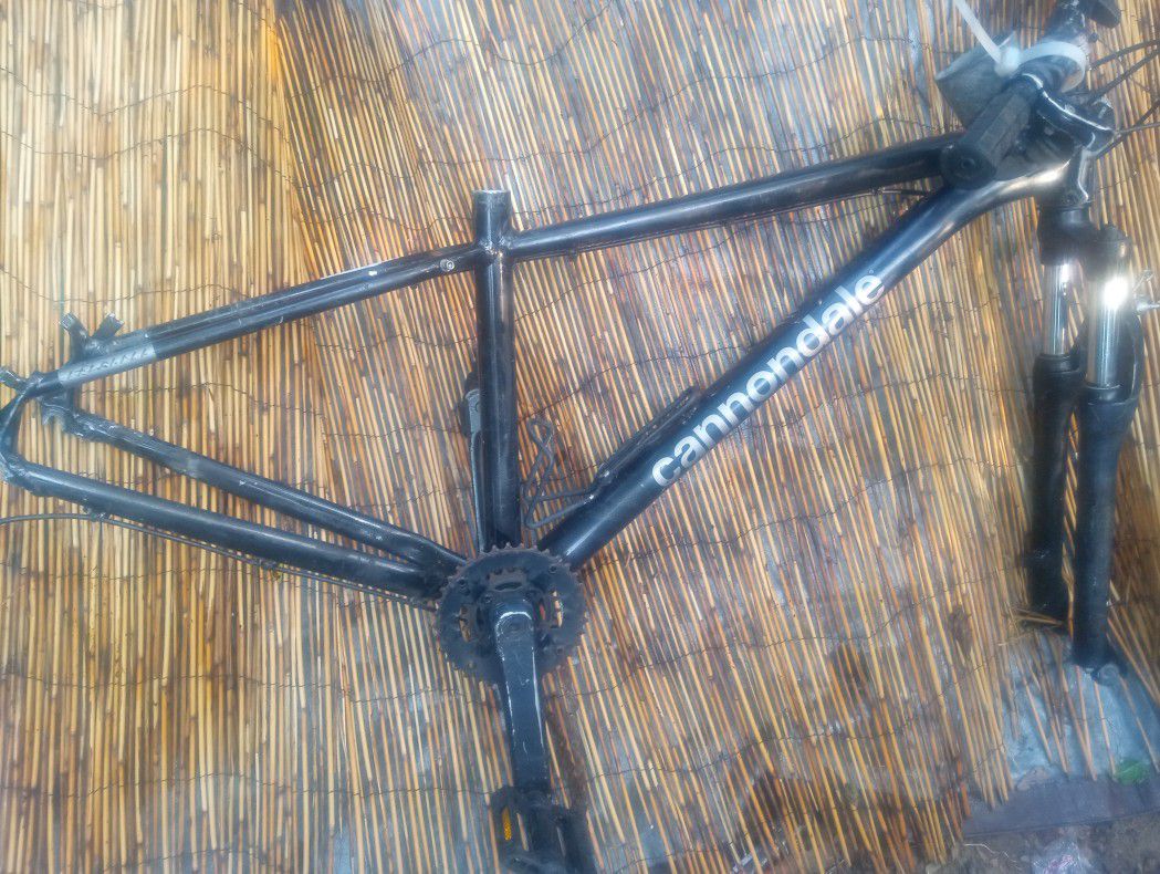 Cannondale Trail  frame

