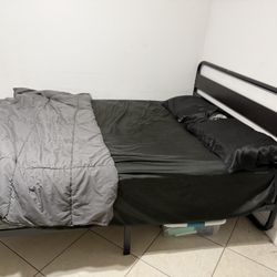 Bed Frame Needs To Go ASAP - Can Have Bed If You Want