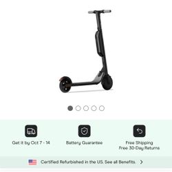 Electric Scooter