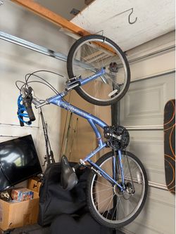 Serene citi diamond back bike