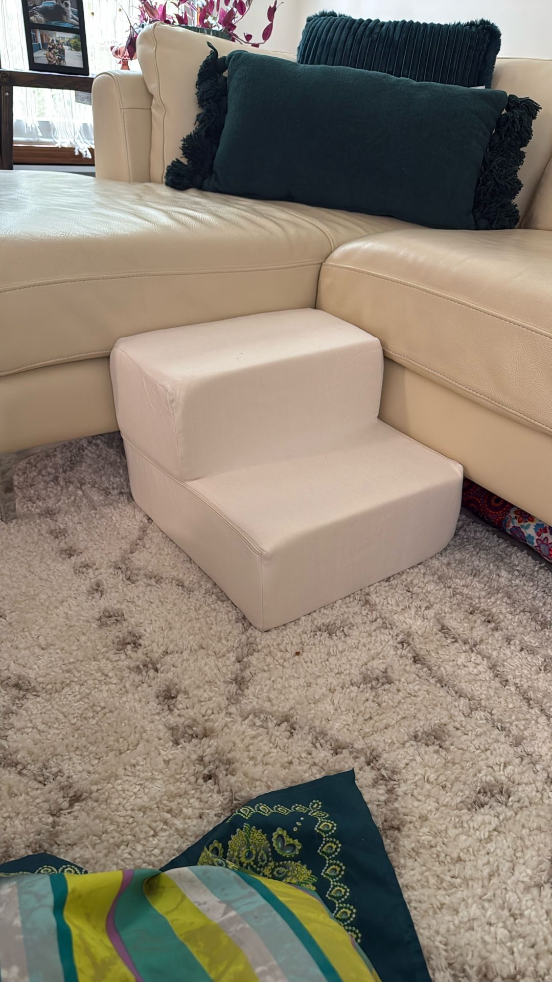 2 Step dog Stairs