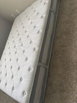 Queen size 12inch