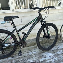 Bike Sidewinder 