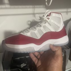 DS 10.5 Jordan 11
