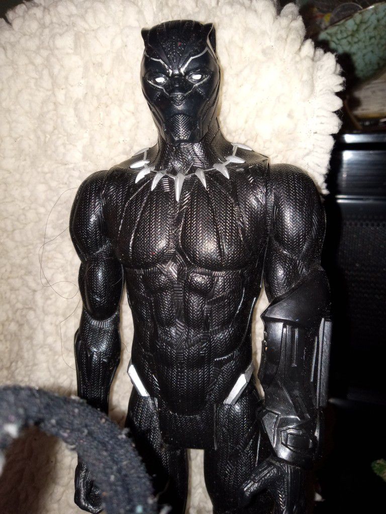 The black panther 