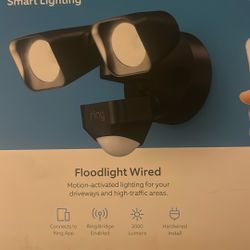 Ring Smart Light Floodlight Wired