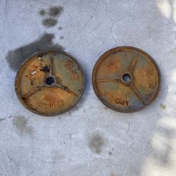 45 Pound Olympic Weights