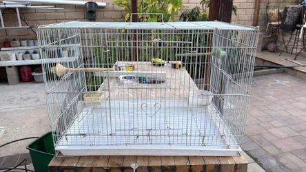 Bird cage