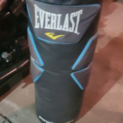 Everlast Punching Bag