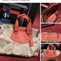 Designer Bags  New-Like New $65 Each