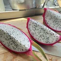 Organic Dragon Fruit Plant In Pot 