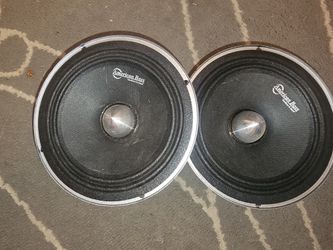 Cat Speakers