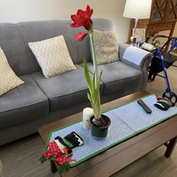 Couch And Two Chairs