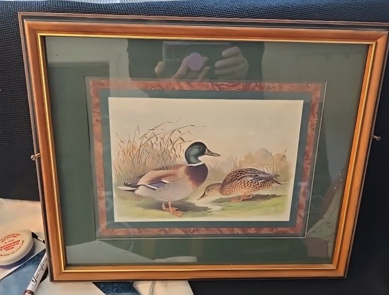 Vtg. Ducks Sitting By Water & Field Picture 17 1/2" X 15" Pressed Wooden Frame Used