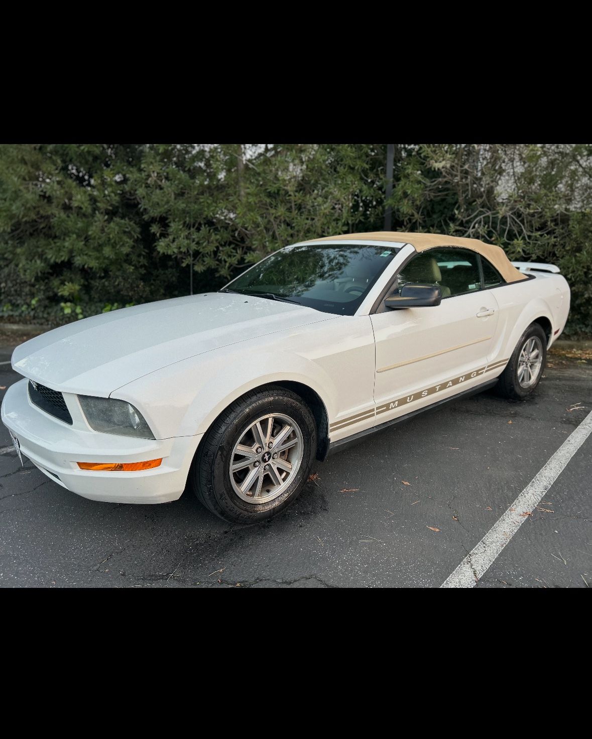 V6 Mustang 