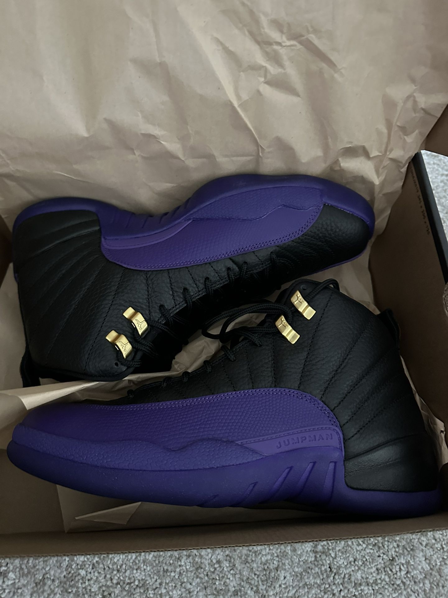 Brand New Jordan Retro 12
